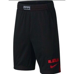 Nike Lebron Graphic Basketball Shorts In Boys XL Lined Dry Fit EUC 9 In Inseam